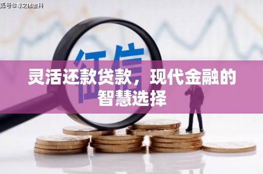 雨花灵活还款贷款，现代金融的智慧选择
