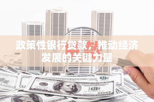 雨花政策性银行贷款，推动经济发展的关键力量