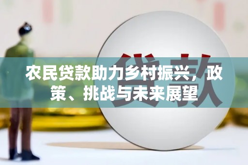 雨花农民贷款助力乡村振兴，政策、挑战与未来展望