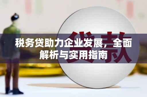雨花税务贷助力企业发展，全面解析与实用指南