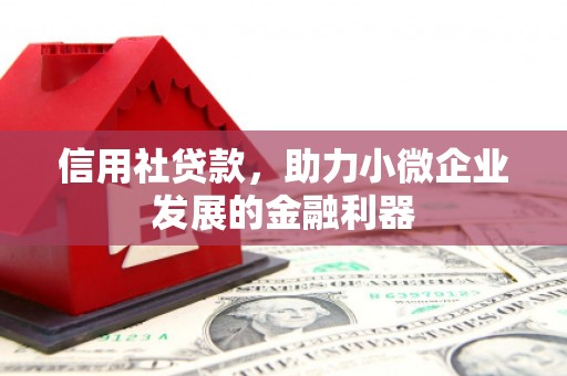 雨花信用社贷款，助力小微企业发展的金融利器