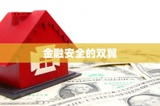 雨花金融安全的双翼