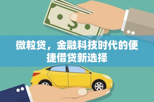 雨花微粒贷，金融科技时代的便捷借贷新选择