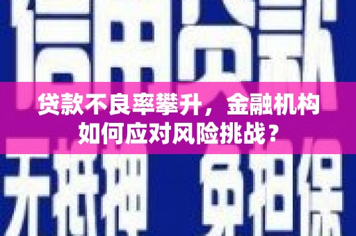 雨花贷款不良率攀升，金融机构如何应对风险挑战？