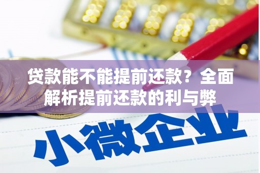 雨花贷款能不能提前还款？全面解析提前还款的利与弊