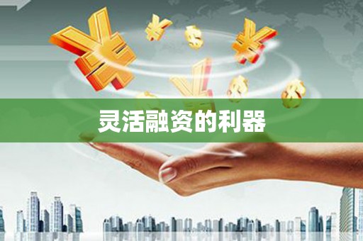 雨花灵活融资的利器