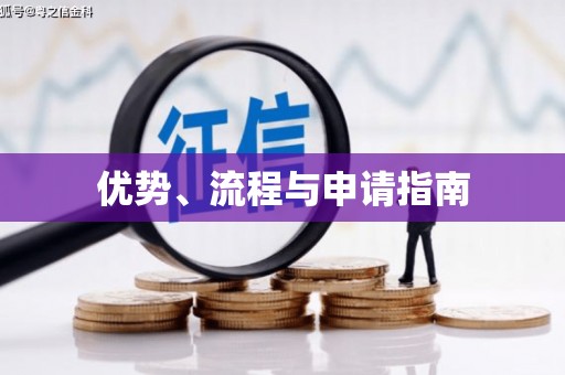 雨花优势、流程与申请指南