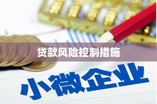 雨花贷款风险控制措施