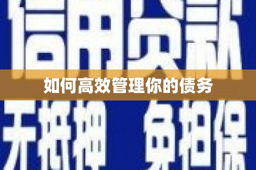 雨花如何高效管理你的债务