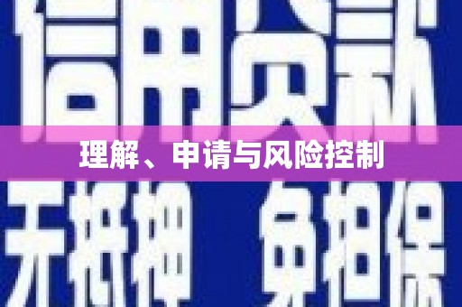 雨花理解、申请与风险控制