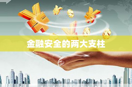 雨花金融安全的两大支柱