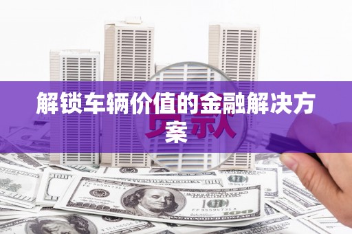 雨花解锁车辆价值的金融解决方案
