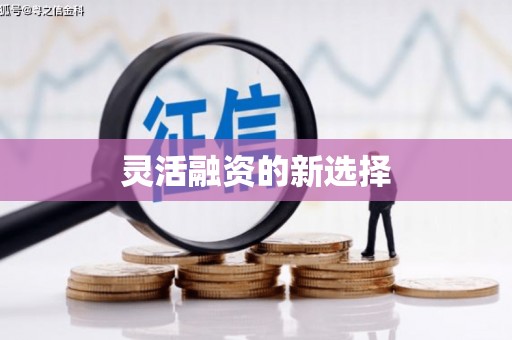 雨花灵活融资的新选择