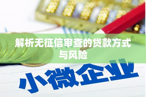 雨花解析无征信审查的贷款方式与风险