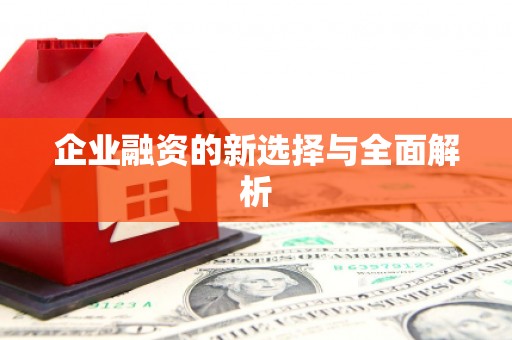 雨花企业融资的新选择与全面解析