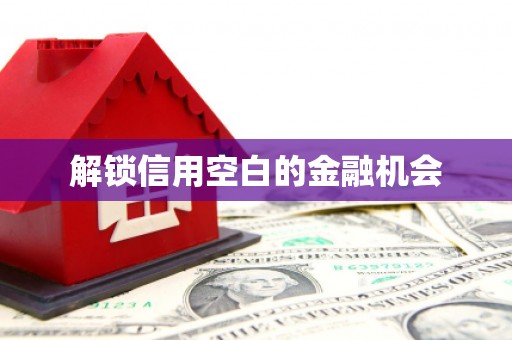 雨花解锁信用空白的金融机会