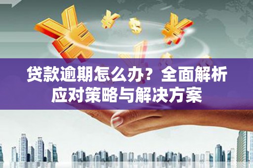 雨花贷款逾期怎么办？全面解析应对策略与解决方案