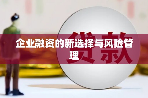 雨花企业融资的新选择与风险管理