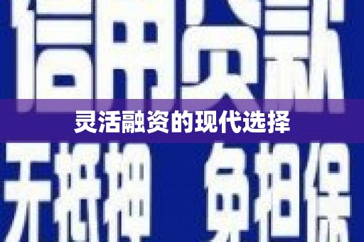 雨花灵活融资的现代选择