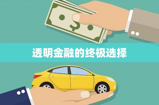 雨花透明金融的终极选择