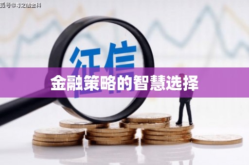 雨花金融策略的智慧选择