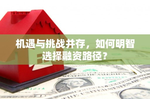 雨花机遇与挑战并存，如何明智选择融资路径？