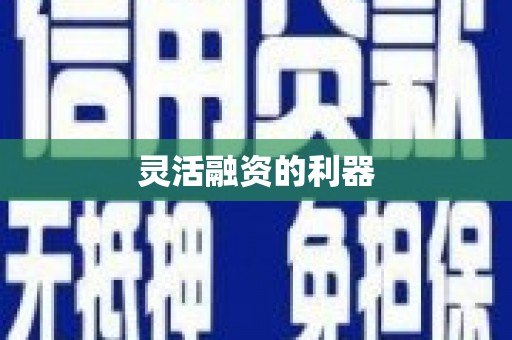 雨花灵活融资的利器