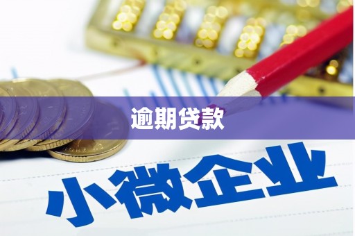 雨花逾期贷款