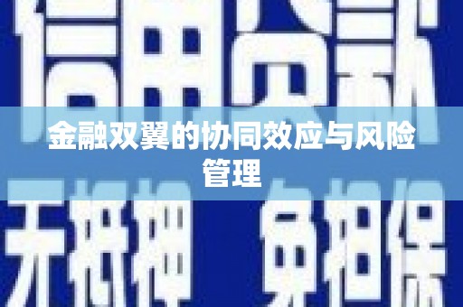 雨花金融双翼的协同效应与风险管理