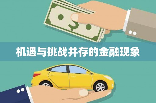 雨花机遇与挑战并存的金融现象