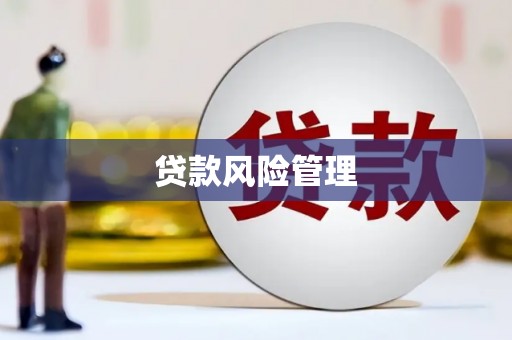 雨花贷款风险管理