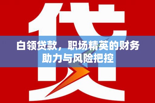 雨花白领贷款，职场精英的财务助力与风险把控