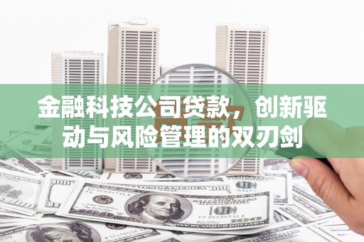 雨花金融科技公司贷款，创新驱动与风险管理的双刃剑